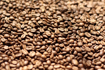 roasted coffee beans background 