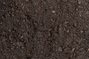 Soil as a background. Agriculture, gardening or ecology concept