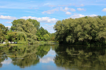 Fototapeta na wymiar Quiet lake in Rheinaue park, Bonn, Germany