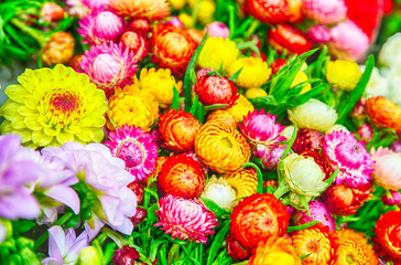 Peonies