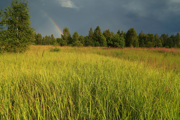 Nature after rain and storm, summer landscape with a rainbow.