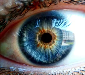 Foto op Plexiglas oog iris © veyselhalit