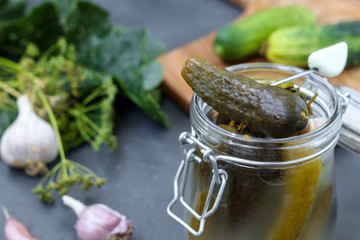 Pickles - canned fermented cucumbers in glass jar on dark background, horizontal orientation