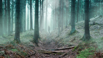 Obraz premium silhouette man in the fog in a mystical forest in a blue haze