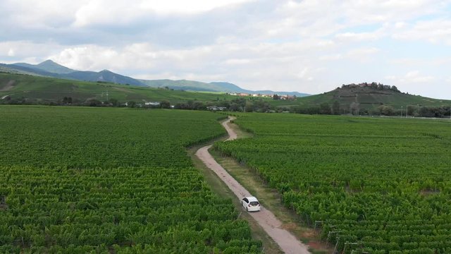 Drone Following Small White Car on Dusty Road in a French Vineyard.