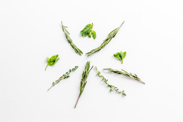 Homeopathy with leaves and healing herbs on white background top view