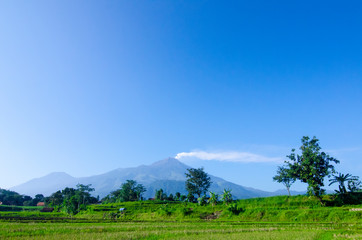Eruption of Mount Arjuna/Arjuno-Welirang with rice paddies epic view