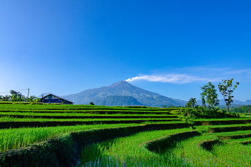 Eruption of Mount Arjuna/Arjuno-Welirang with rice paddies epic view