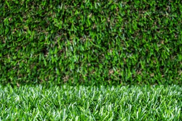 artificial grass backdrop with selective focus.