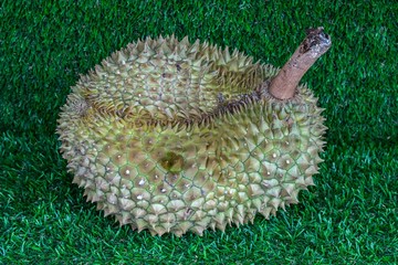 Thai fresh durian on artificial grass background with selective focus.