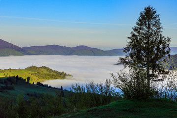 Morning fog in a mountain valley