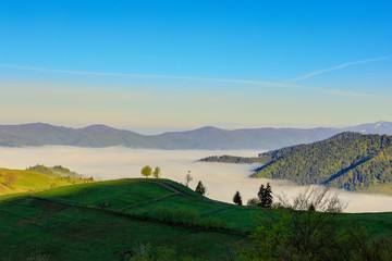 Fototapeta na wymiar Morning fog in a mountain valley