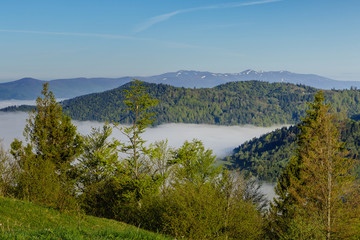 Morning fog in a mountain valley