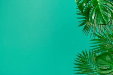 Fototapeta na wymiar Creative minimal background with tropical leaves. Frame of tropical palm leaves and monstera leaf on blue emerald background. Flat lay, top view, copy space. Summer background, nature