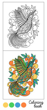 Coloring book bird page game.Color images and outline black.Child and adults antistress.