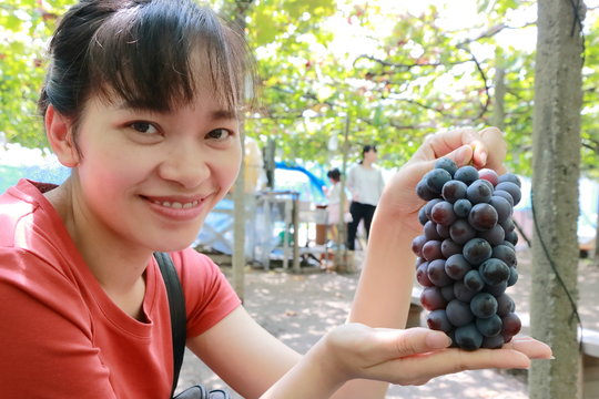 young woman picking grape in vineyard in Japan