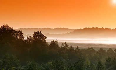 Foggy morning in Arbonne valley 