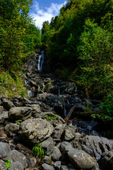Fototapeta na wymiar Mountain waterfall among the greenery. Wet stones.