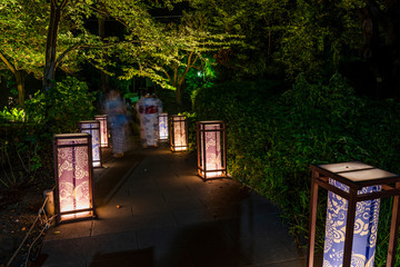 江の島の灯篭ライトアップの風景