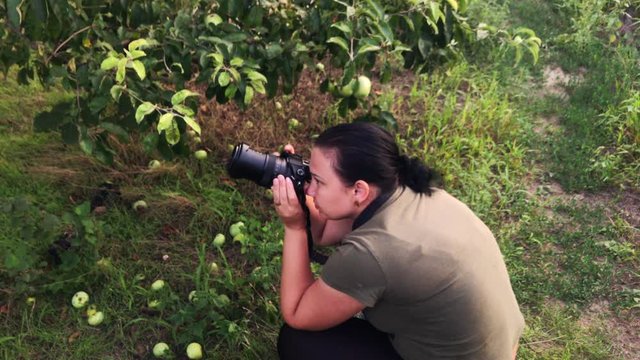 Woman takes pictures in a farm garden