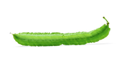 winged bean on white background