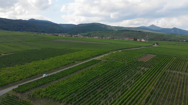 Aerial of White Car Driving through the Vins d'Alsace Vineyards.