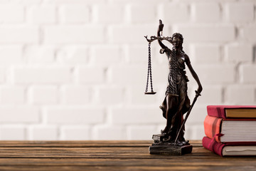 Themis on white background near the books