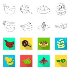 Vector design of natural and vegetarian logo. Set of natural and eating stock symbol for web.