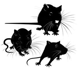 rat silhouette vector collection isolated on white background
