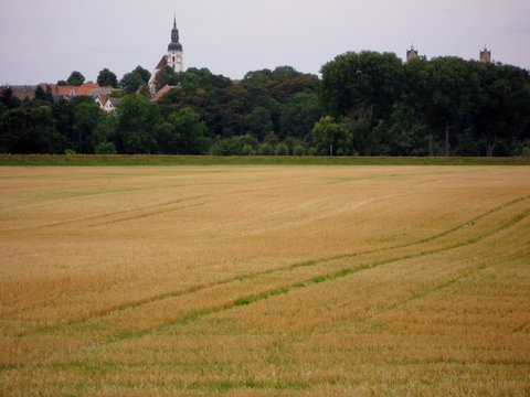 Strehla am Elberadweg zwischen Riesa und Belgern (Sachsen)