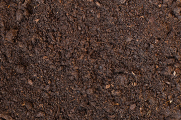 Soil as a background. Agriculture, gardening or ecology concept
