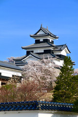 桜と小峰城（福島県・白河市）