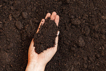 Woman holding pile of soil above ground with copy space for insert text. Agriculture, gardening or ecology concept, top view