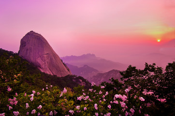 북한산. 일출. 라일락. 아침. 한국 . 풍경. 자연.