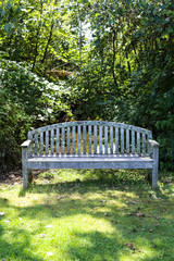 Old wooden bench by the stream