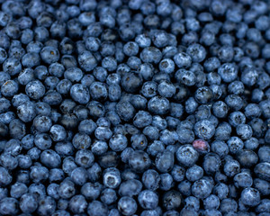 Fototapeta na wymiar Blueberries, ripe blue black berries, background wallpaper top view