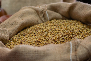 A bag of roasted barley, an ingredient for making beer