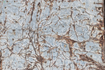 Rusty Iron Metal Texture Background