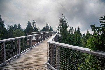 Wooden among the trees with view on Tatra montains, named "Chodn&iacute;k korunami stromov", Zdziar, Slovakia.