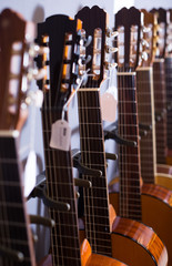 row of new acoustic guitars in music shop