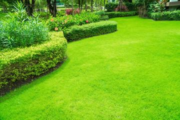 Landschapsontwerp, rustige tuin, groene tuin en gazon., groen gazon, het voorgazon voor achtergrond, de schoonheid van de versierde tuin.