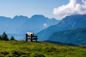 A bench in the meadow in mountains, South Tyrol.
