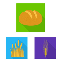 Vector illustration of wheat and corn icon. Collection of wheat and harvest stock symbol for web.