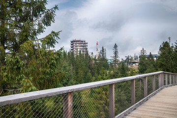 Wooden among the trees with view on Tatra montains, named "Chodník korunami stromov", Zdziar, Slovakia.