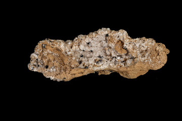 Obraz premium Macro stone Apophyllite mineral with ilvaite on a black background