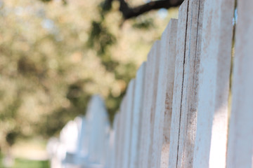 Fototapeta premium white fence. free space for text. rest at nature