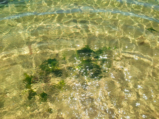 Clear water ripples and patterns with seaweed and yellow sand. Black Sea.