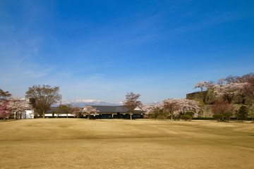 桜と小峰城（福島県・白河市）