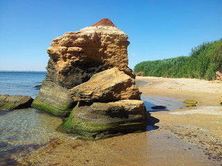 Big rock with moss and seaweed on the wild beach with yellow sand and green bushes. Black Sea. © Alex Yakunina