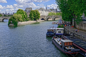 Obraz premium Bridge in Paris
